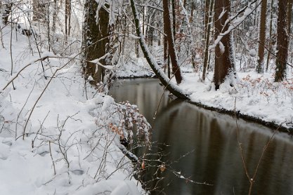 Ellikerbach im Winter