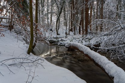 Ellikerbach im Winter