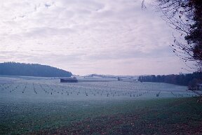 Ellikon an der Thur null