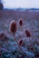 Ellikon an der Thur null