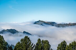 Nebelschwaden auf der Rigi