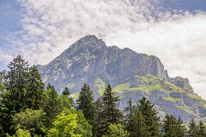 Grindelwald