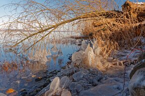 Eisskulpturen am Bodensee