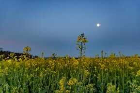 Dem Mond entgegen