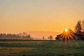 Sonnenaufgang in Ellikon