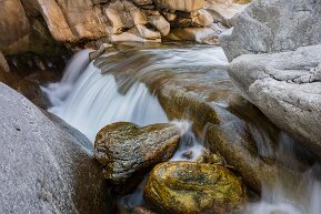 Maggia