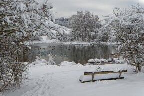 Ellikon - Weiher im Winter