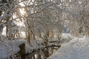 Ellikon im Winter