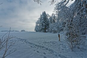 Ellikon im Winter