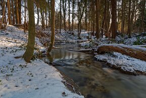 Ellikerbach im Winter