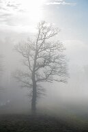 Winternebel null